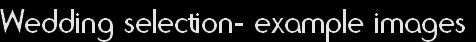 wp3fbde8fc.png